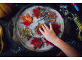 The Art of Slow Living