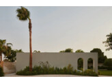 Contemporary Living in the Middle East