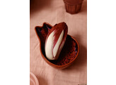 Shell tapas bowl dragonfruit
