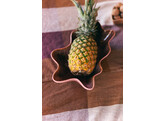 Shell serving bowl coral