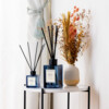 Istanbul Bosphorus Reed Diffuser 515ml