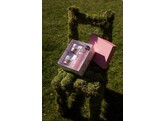 Paveau Giftbox Pink roze