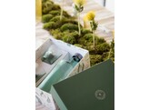 Paveau Giftbox Bondi groen