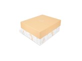 Paveau Giftbox Bells mokka