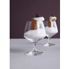 Perfection brandy glass clear per stuk