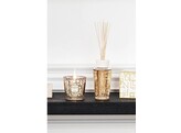 Gift Box Aurum My First Baobab
