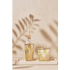 Gift Box Miami My First Baobab