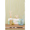 Gift Box Miami My First Baobab