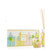 Gift Box Miami My First Baobab