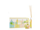 Gift Box Miami My First Baobab