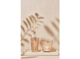Gift Box Paris My First Baobab