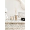 Gift Box Platinum My First Baobab