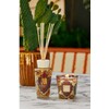 Gift box Mexico My First Baobab