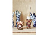 Gift box Mexico My First Baobab