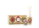 Gift box Mexico My First Baobab