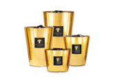 Max One Aurum