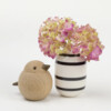 Baby sparrow natural oak