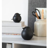 Baby sparrow black stained oak