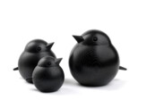 Baby sparrow black stained oak