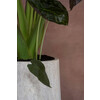 Nax L travertine beige h100 x  o  50cm