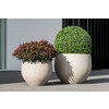 Jumbo Orb M beige washed h90 5 x  o  110 50cm