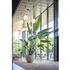 Jumbo Orb S beige washed h70 x  o  87 50cm