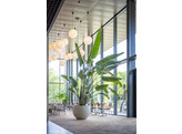 Jumbo Orb S beige washed h70 x  o  87 50cm