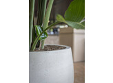 Jumbo Orb S beige washed h70 x  o  87 50cm