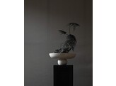 Baburo bowl big birch
