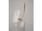 Baburo bowl medio birch