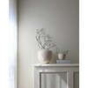 Sunao vase petit birch