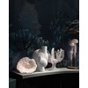 Sphere vase bubl shisen medio bone white