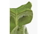 Marni Owl vaas S groen
