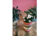 Retro flower pot rosefield