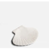 Bord shell S wit