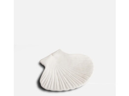 Bord shell S wit
