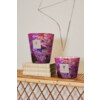 Max 24 Arty Flowers Water Lily