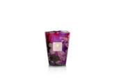 Max 24 Arty Flowers Water Lily