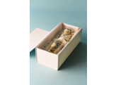 Gift Box Tomorrowland 2026 My First Baobab