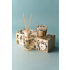 Gift Box Tomorrowland 2026 My First Baobab