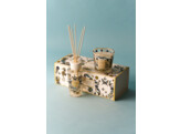 Gift Box Tomorrowland 2026 My First Baobab