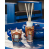 Gift Box Marrakech My First Baobab