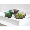 Zen tray large white