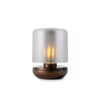 Firefly table light bronze frosted