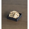 Wood box square S oak black