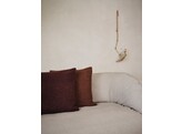 Moor cushion sugar kelp