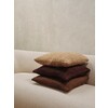 Moor cushion sugar kelp