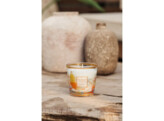 My First Baobab St-Tropez